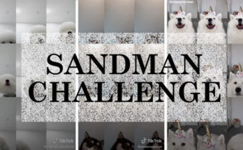 Mr Sandman Challenge
