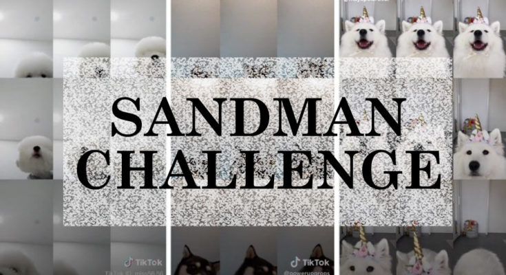 Mr Sandman Challenge