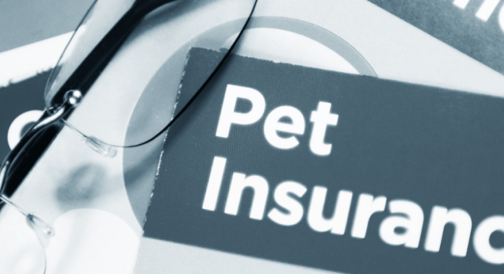 Buy Pet Insurance Policy