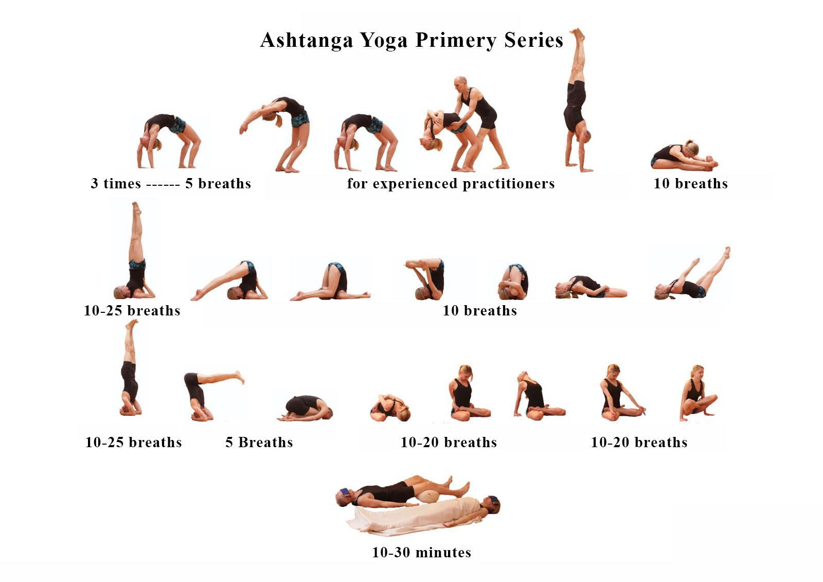 Йога какие виды. Виньяса йога асаны. Асаны Аштанга виньяса. Ashtanga последовательность 1 Аштанга йога асан. Аштанга-виньяса йога для начинающих.