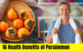 Persimmon Health Benefits